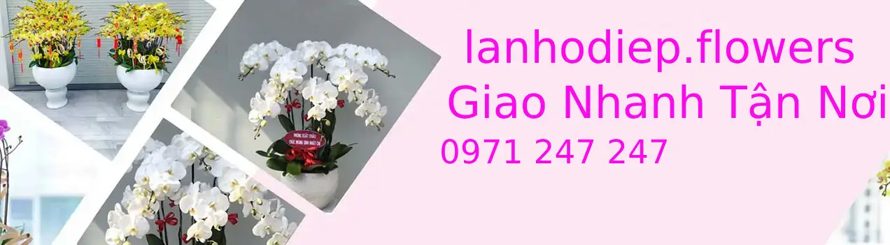 https://lanhodiep.flowers/
