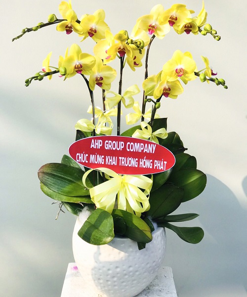 chau lan ho diep vang k1770