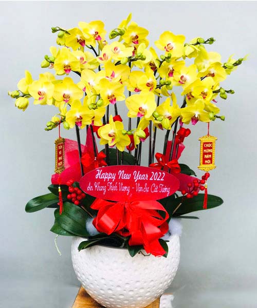 lan ho diep vang k1751